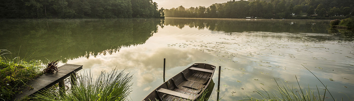 Natur am Hammersee